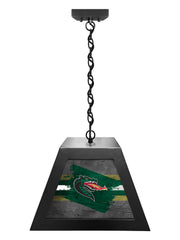 University of Alabama at Birmingham Pendant Box Light