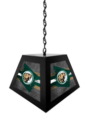 Bemidji State University Pendant Box Light