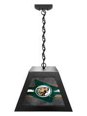 Bemidji State University Pendant Box Light