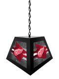 Detroit Red Wings Pendant Box Light, Bar Light and Billiard Light