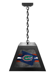 University of Florida Pendant Box Light