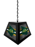North Dakota State University Pendant Box Light