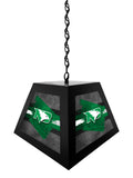 University of North Dakota Pendant Box Light