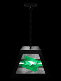 University of North Dakota Pendant Box Light