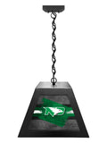 University of North Dakota Pendant Box Light