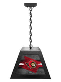 Ottawa Senators Pendant Box Light, Bar Light and Billiard Light
