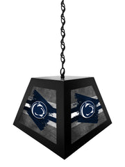 Pennsylvania State University Pendant Box Light