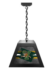 University of Vermont Pendant Box Light