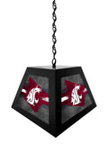 Washington State University Pendant Box Light