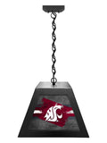 Washington State University Pendant Box Light