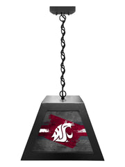 Washington State University Pendant Box Light