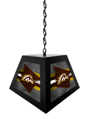 Western Michigan University Pendant Box Light