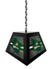 Wright State University Pendant Box Light
