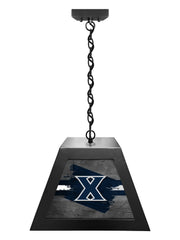 Xavier Pendant Box Light