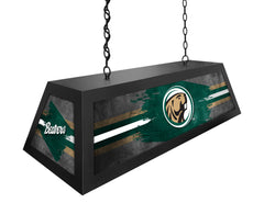 Bemidji State University Long Box Billiard Light