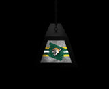 University of Vermont Long Box Billiard Light