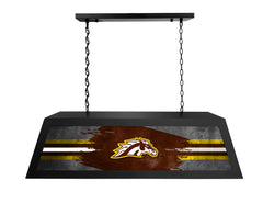 Western Michigan University Long Box Billiard Light