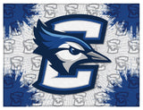 Creighton Blue Jays Logo Wall Decor Canvas