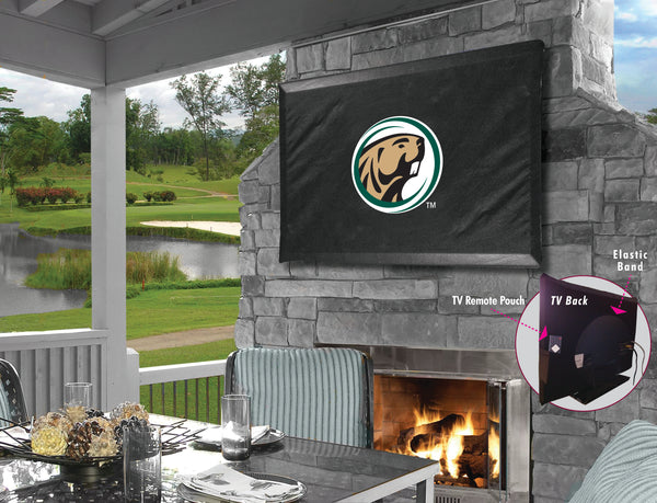 Bemidji State University TV Cover