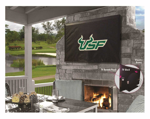 University of South Florida TV Cover