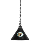 Bemidji State Billiard Table Pendant Light