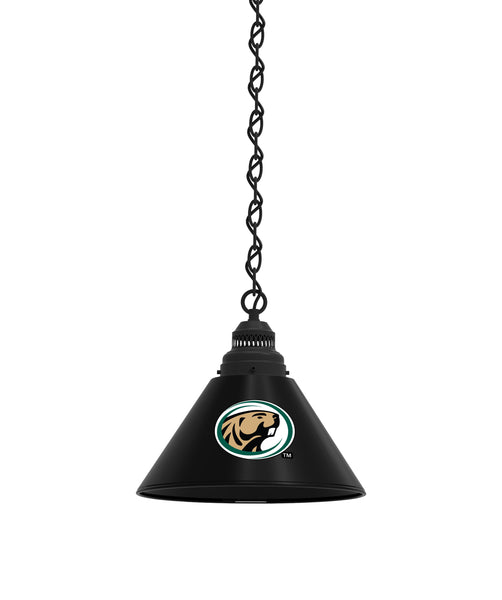 Bemidji State Billiard Table Pendant Light