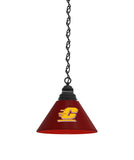 Central Michigan Billiard Table Pendant Light