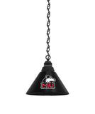 Northern Illinois Billiard Table Pendant Light