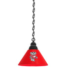 Wisconsin Badger Billiard Table Pendant Light