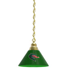 Alabama Birmingham Billiard Table Pendant Light