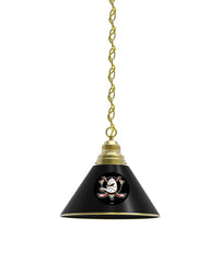 Anaheim Ducks Billiard Table Pendant Light