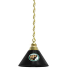 Bemidji State Billiard Table Pendant Light
