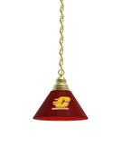 Central Michigan Billiard Table Pendant Light