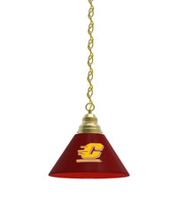 Central Michigan Billiard Table Pendant Light