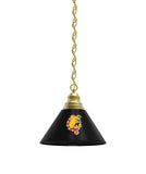 Ferris State Billiard Table Pendant Light