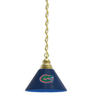 Florida Gators Billiard Table Pendant Light