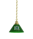 Hawaii Billiard Table Pendant Light