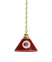 Indian Motorcycles Burgundy Billiard Table Pendant Light