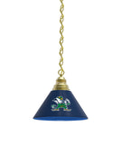 Notre Dame Leprechaun Billiard Table Pendant Light