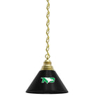 North Dakota Billiard Table Pendant Light