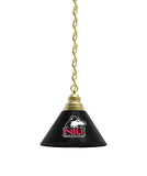 Northern Illinois Billiard Table Pendant Light