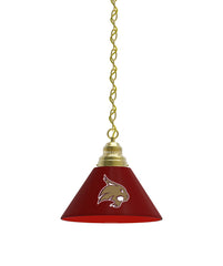 Texas State Billiard Table Pendant Light