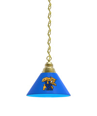 Kentucky Wildcat Billiard Table Pendant Light
