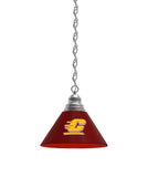 Central Michigan Billiard Table Pendant Light