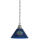 Florida Gators Billiard Table Pendant Light