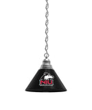 Northern Illinois Billiard Table Pendant Light