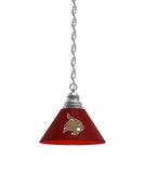 Texas State Billiard Table Pendant Light