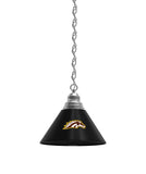 Western Michigan Billiard Table Pendant Light