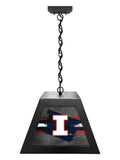 University of Illinois Pendant Box Light