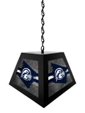 University of North Florida Pendant Box Light